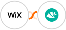 Wix + Alegra Integration