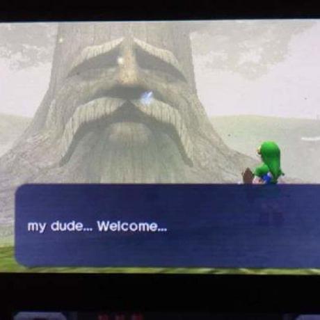 @YakShavingCatHerder