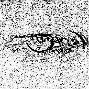 @handsomemashedpotato