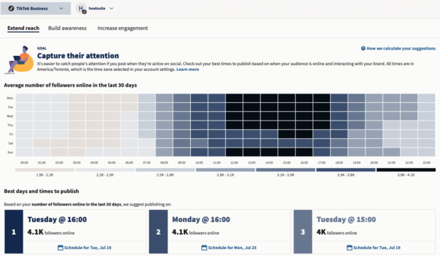 Best Time to Publish - TikTok Heatmap