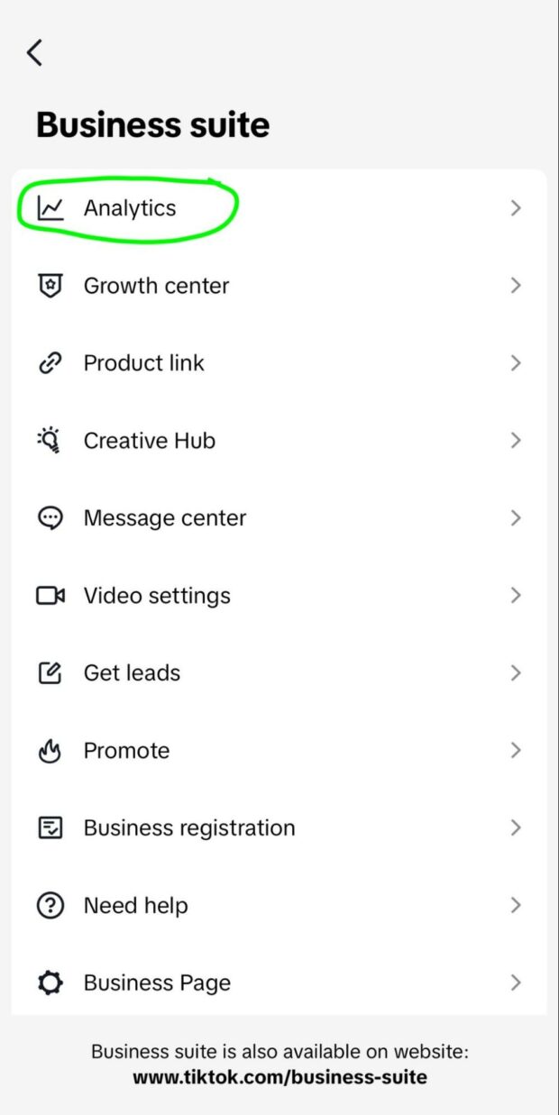 Business suite Analytics option