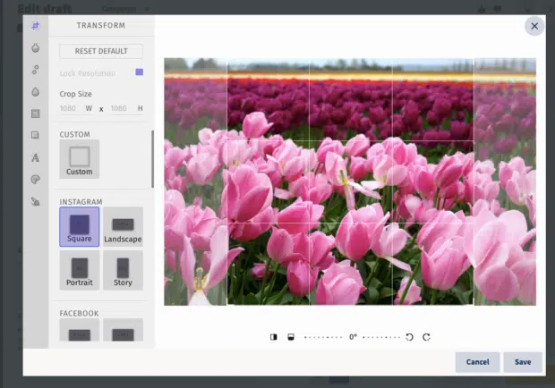 Interfaccia di editing dell'immagine in Hootsuite che mostra le opzioni per ritagliare o ridimensionare un'immagine di tulipano
