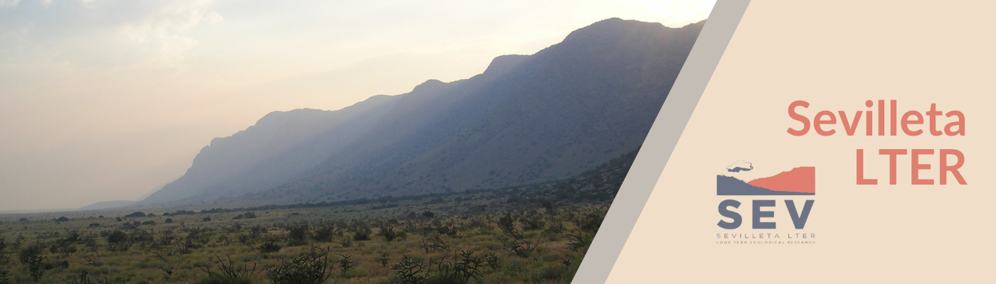 Sevilleta LTER