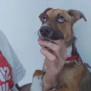 jifupt profile picture