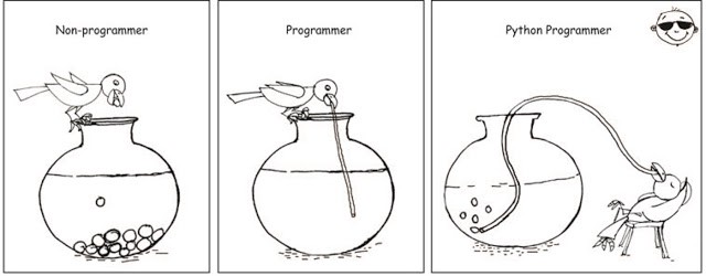 Python Programmer